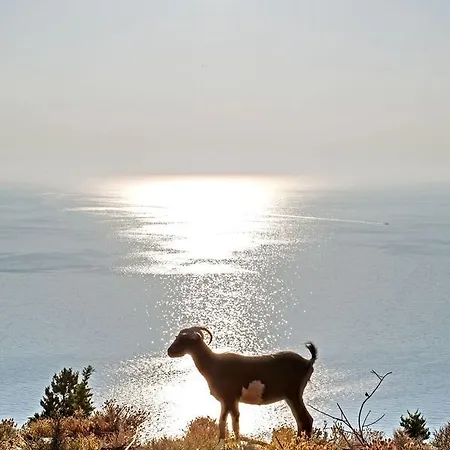 Evangelia Agia Efimia