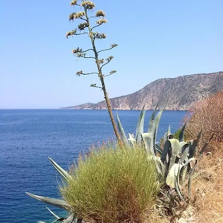 Apartment Evangelia Agia Efimia