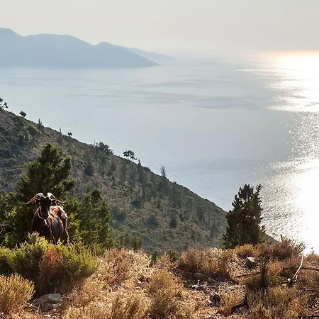 ευαγγελία Διαμέρισμα